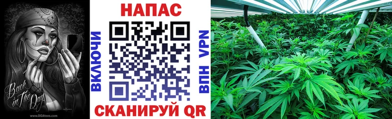 mega как войти  Спасск-Рязанский  Конопля марихуана  закладка 